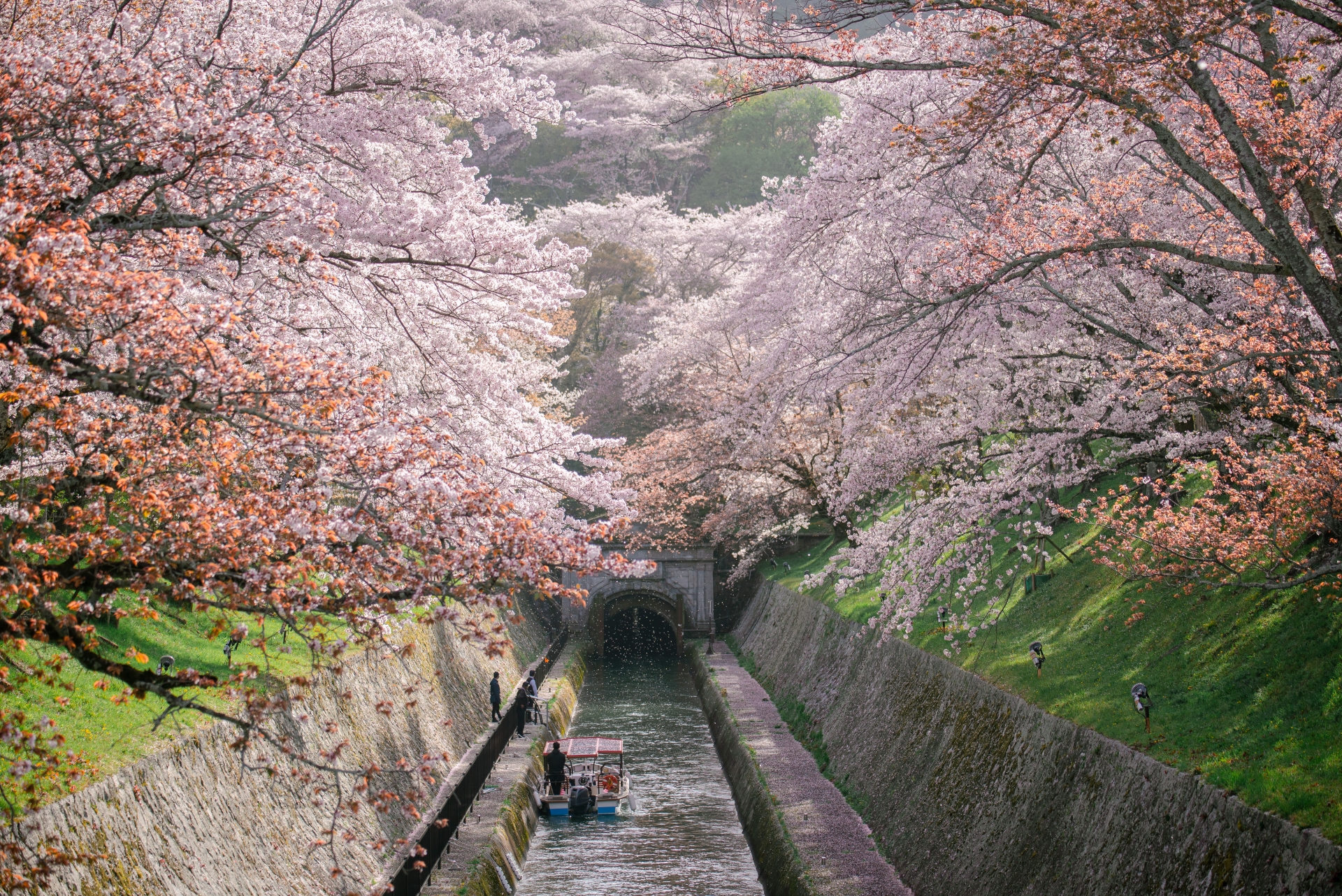琵琶湖写真